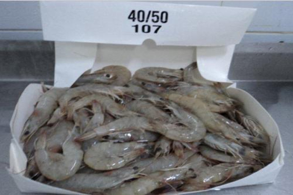 海关总署发布未准入境食品信息,厄瓜多尔进口生南美白虾检出动物疫病