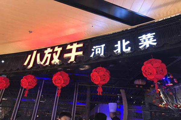 河北小放牛“叫板”海底捞,高调突出“炒菜界的海底捞服务不满意免单”