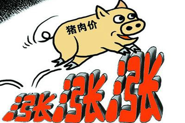 猪肉股再次实现大涨,非洲猪瘟疫情反复成为猪企盈利暴涨的主因