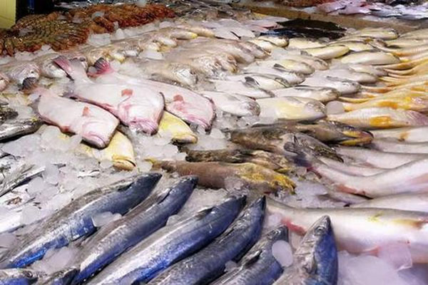 猪肉价格“跌跌不休”,水产品价格悄悄上涨