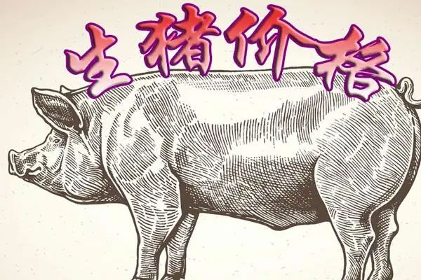 7月生猪期货价格止跌反弹,交易日主力合约累计上涨10.73%