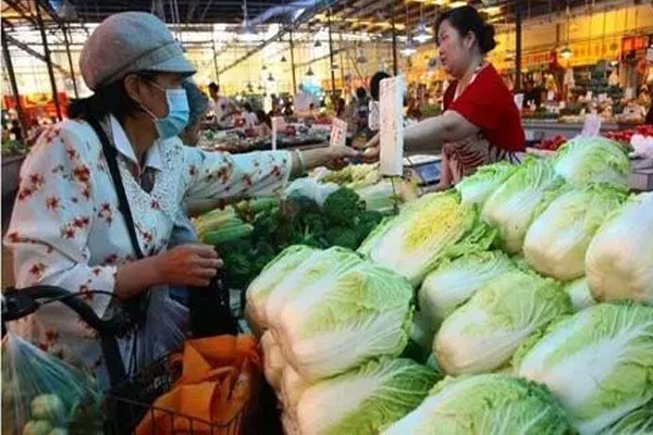 韩国白菜总产量同比减少12%,白菜价格不断攀升