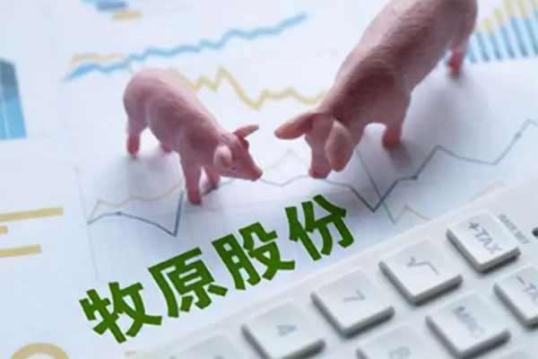猪肉股龙头牧原股份继续反弹，总市值攀升至2751亿元