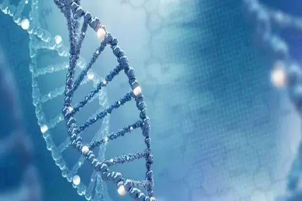 未盈利生物科技在科创板挂牌上市,发行价34.8元跌8.05%